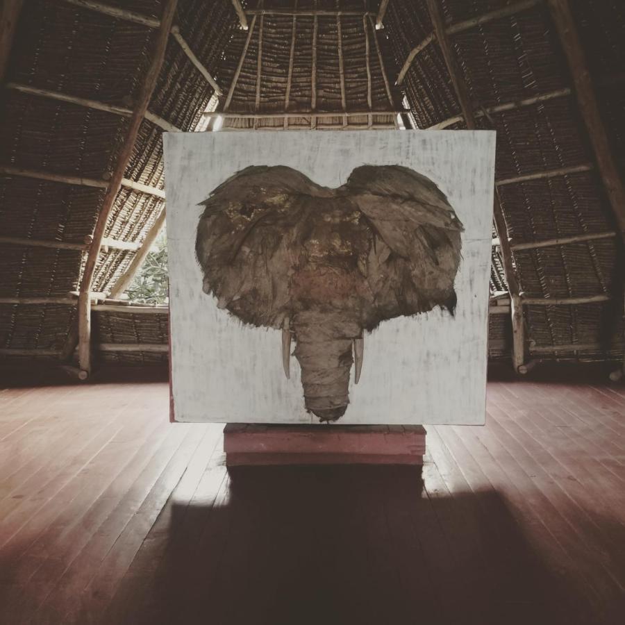 Fulvia House Villa Malindi Exteriör bild