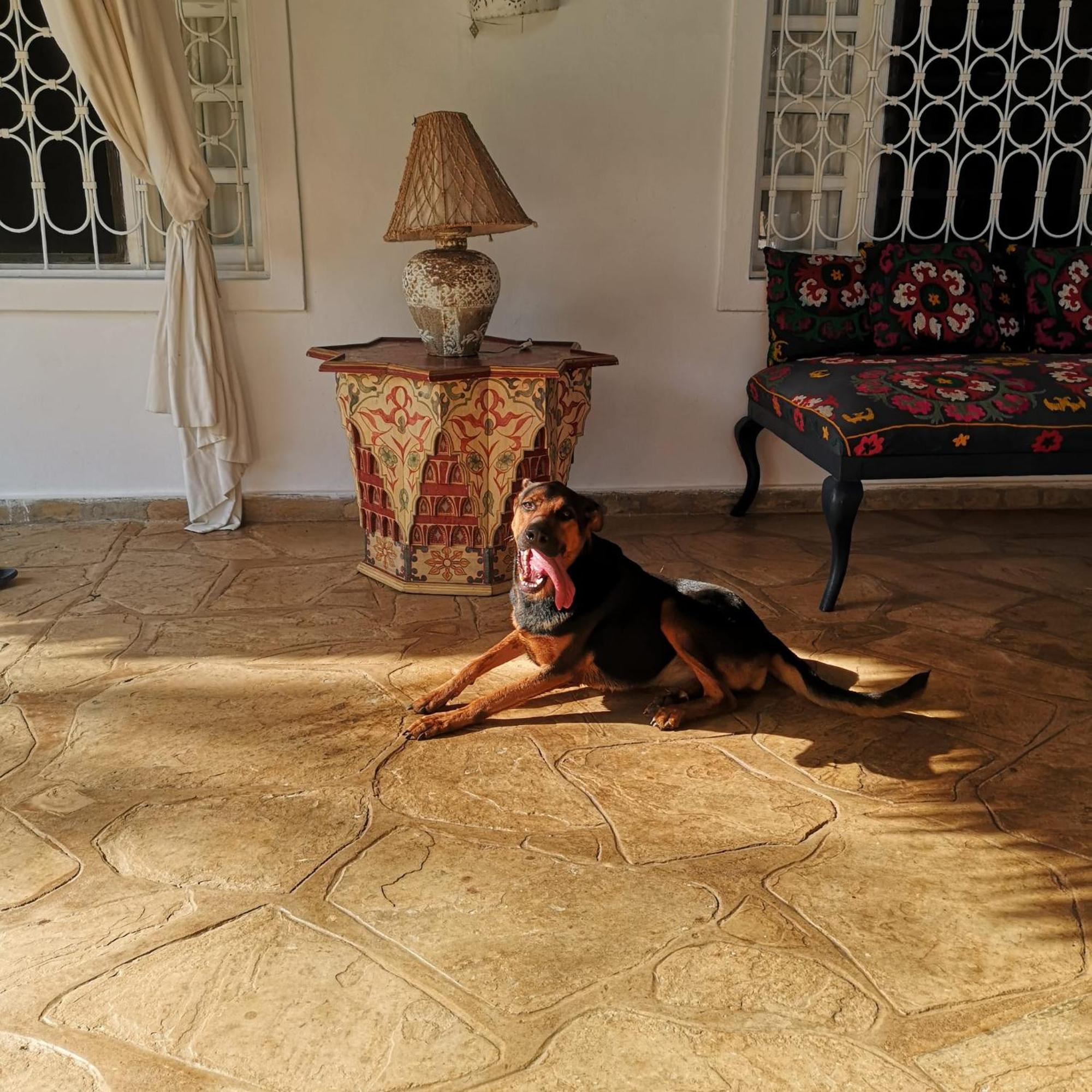 Fulvia House Villa Malindi Exteriör bild